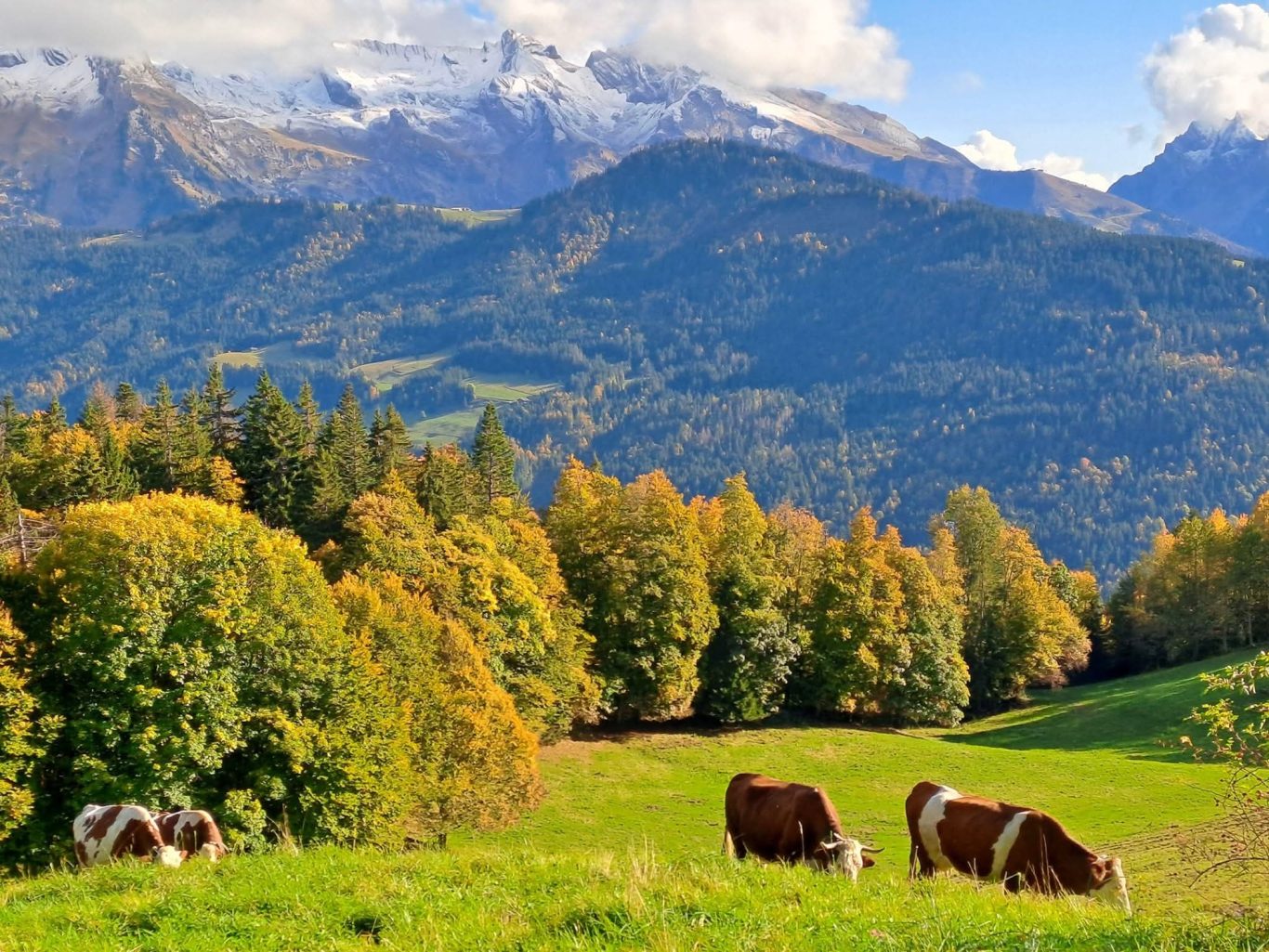 Les Aravis en automne