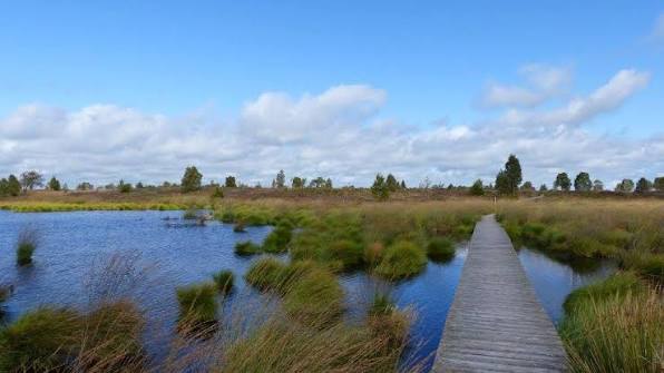 Haute-Fagnes