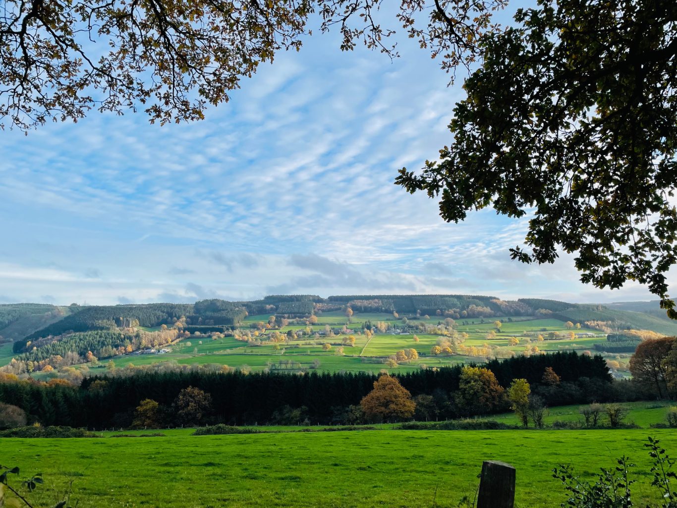 Vallée de Stoumont en automne