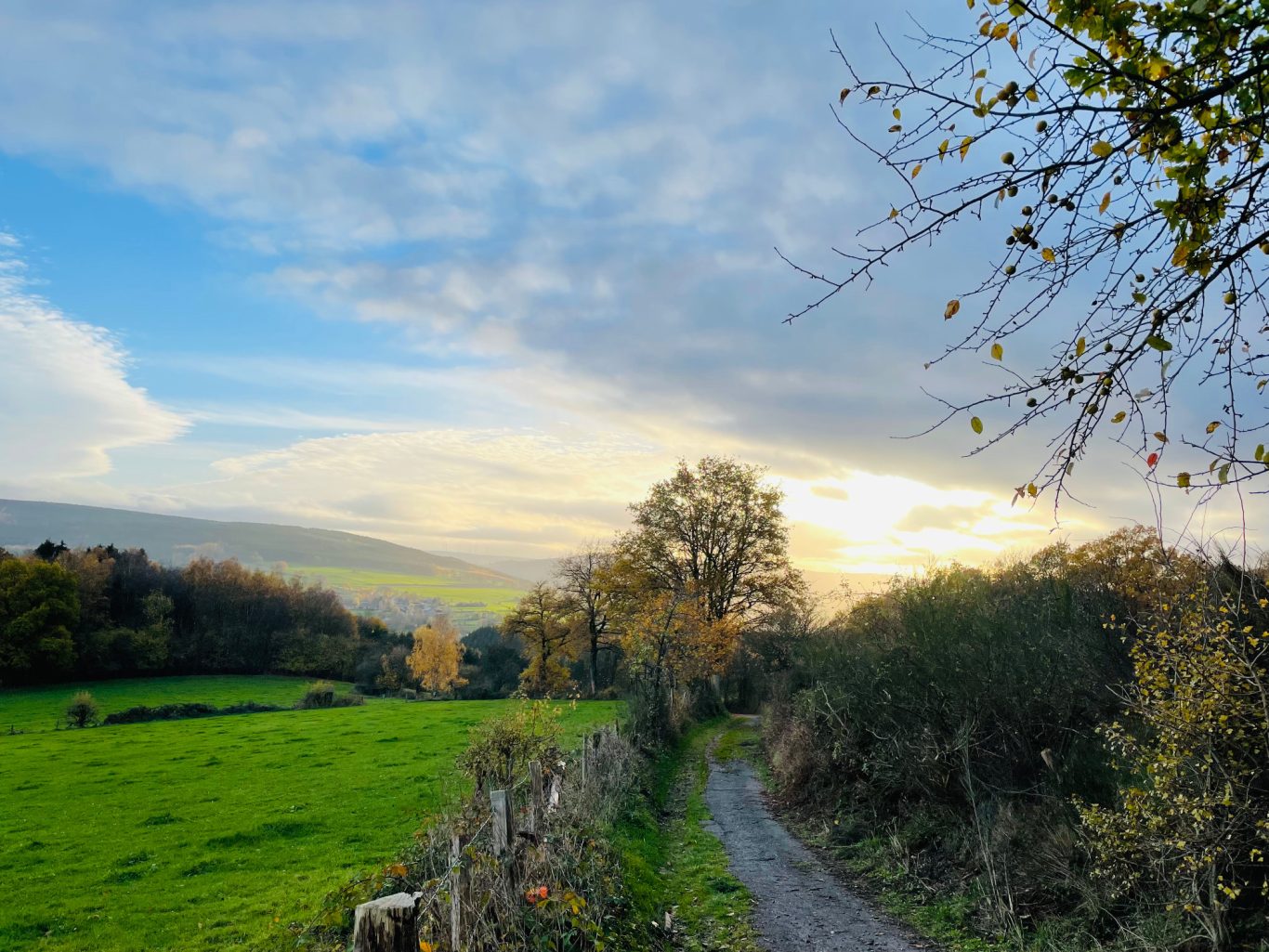 Vallée de Stoumont en automne