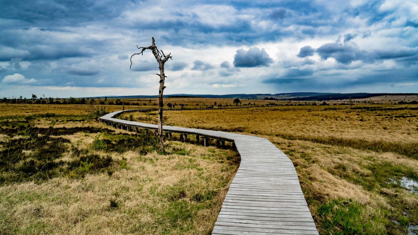 Hautes-Fagnes