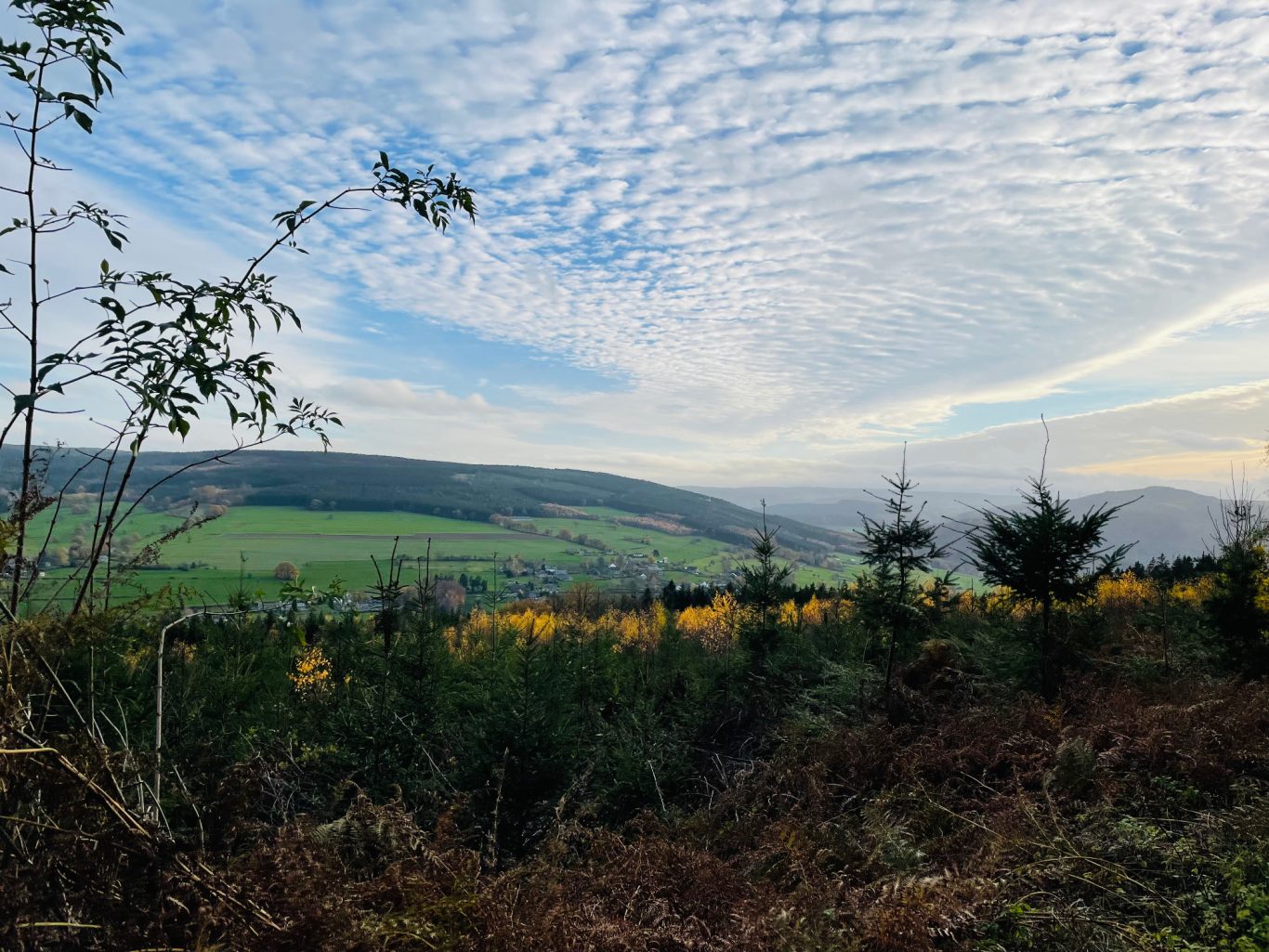 Vallée de Stoumont en automne