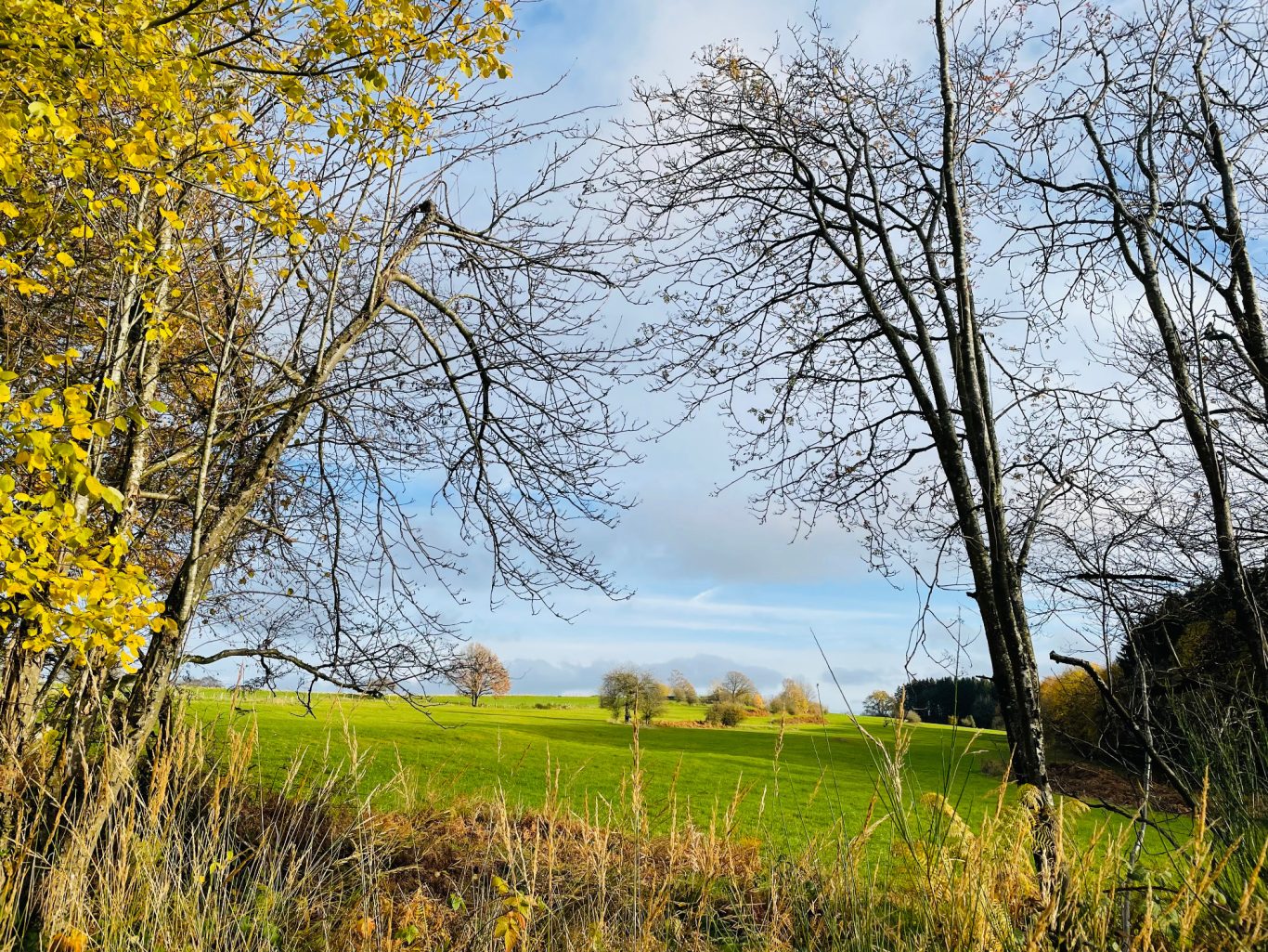 Vallée de Stoumont en automne