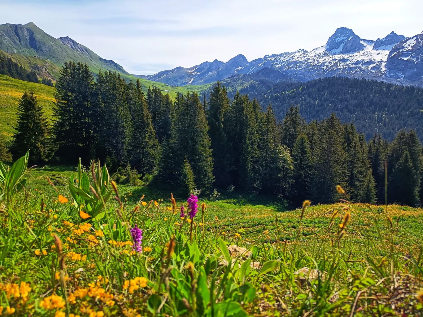 Les Aravis