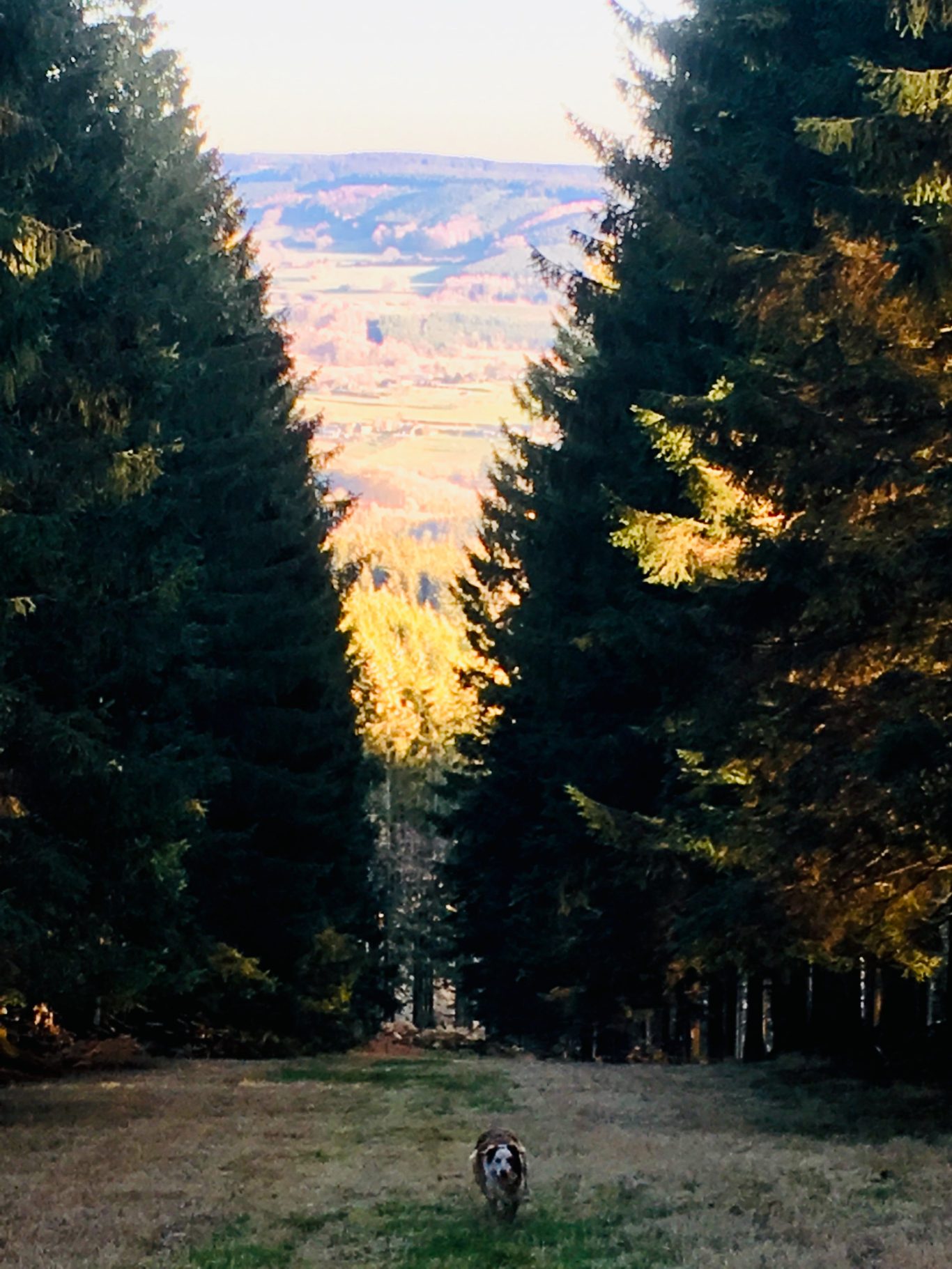 Vallée de Stoumont en automne